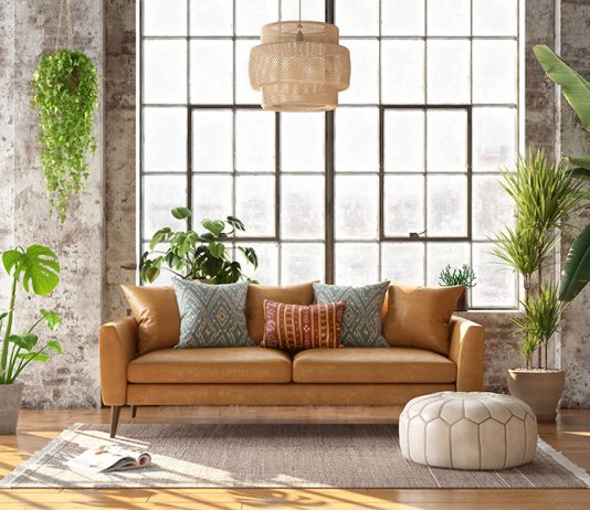 Jardinage d’intérieur, comment choisir ses plantes d’intérieur dépolluantes. plantes-intérieur