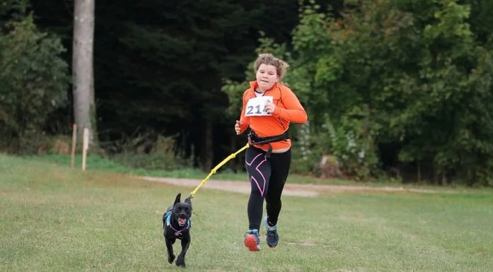 Comment s’amuser en plein air avec son chien ? Comment s’amuser en plein air avec son chien